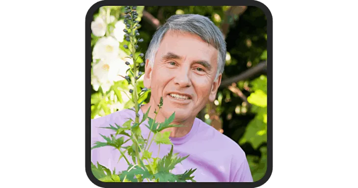 alpha boost  reviews 2